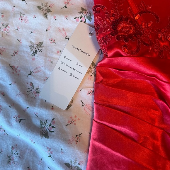 Homecoming- Elegant Red Lace Dress - Picture 7 of 7